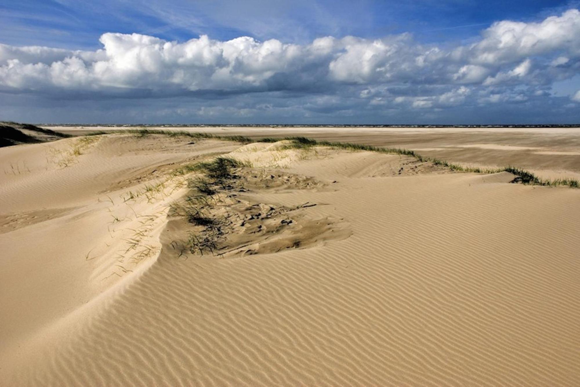 Ara Dune Hotel دي بان المظهر الخارجي الصورة